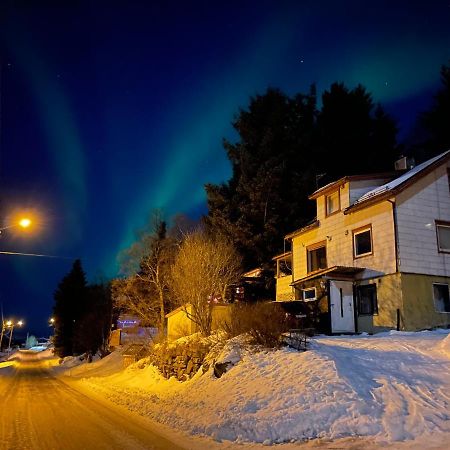 Senja, Skaland Apartment エクステリア 写真