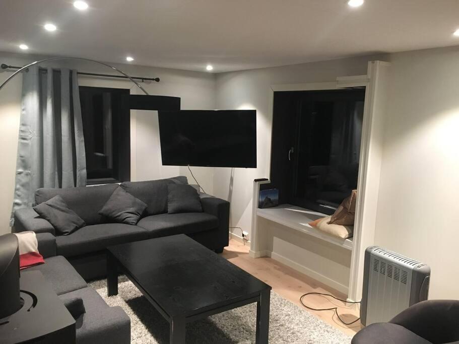 Senja, Skaland Apartment エクステリア 写真