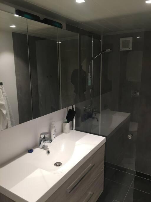 Senja, Skaland Apartment エクステリア 写真